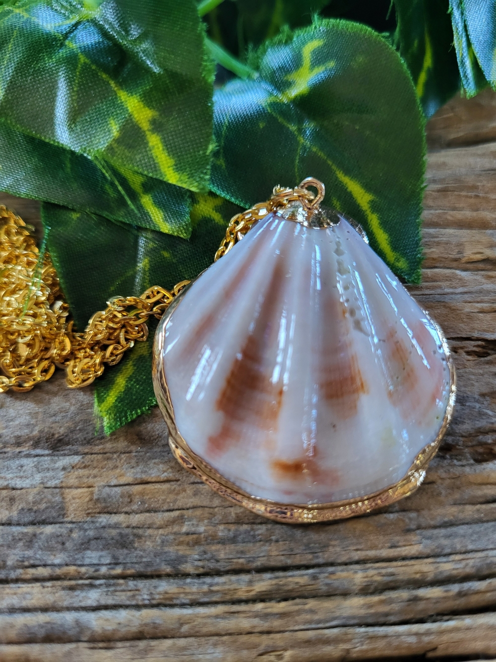 Seashell Pendant Necklace in Cream and Brown With Gold Colored Trim